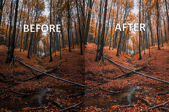 Autumn Lightroom & Mobile Presets