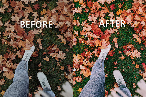 Autumn Lightroom & Mobile Presets